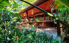Aratinga Inn